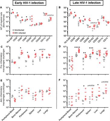 Pro-inflammatory macrophages suppress HIV replication in humanized mice and ex vivo co-cultures